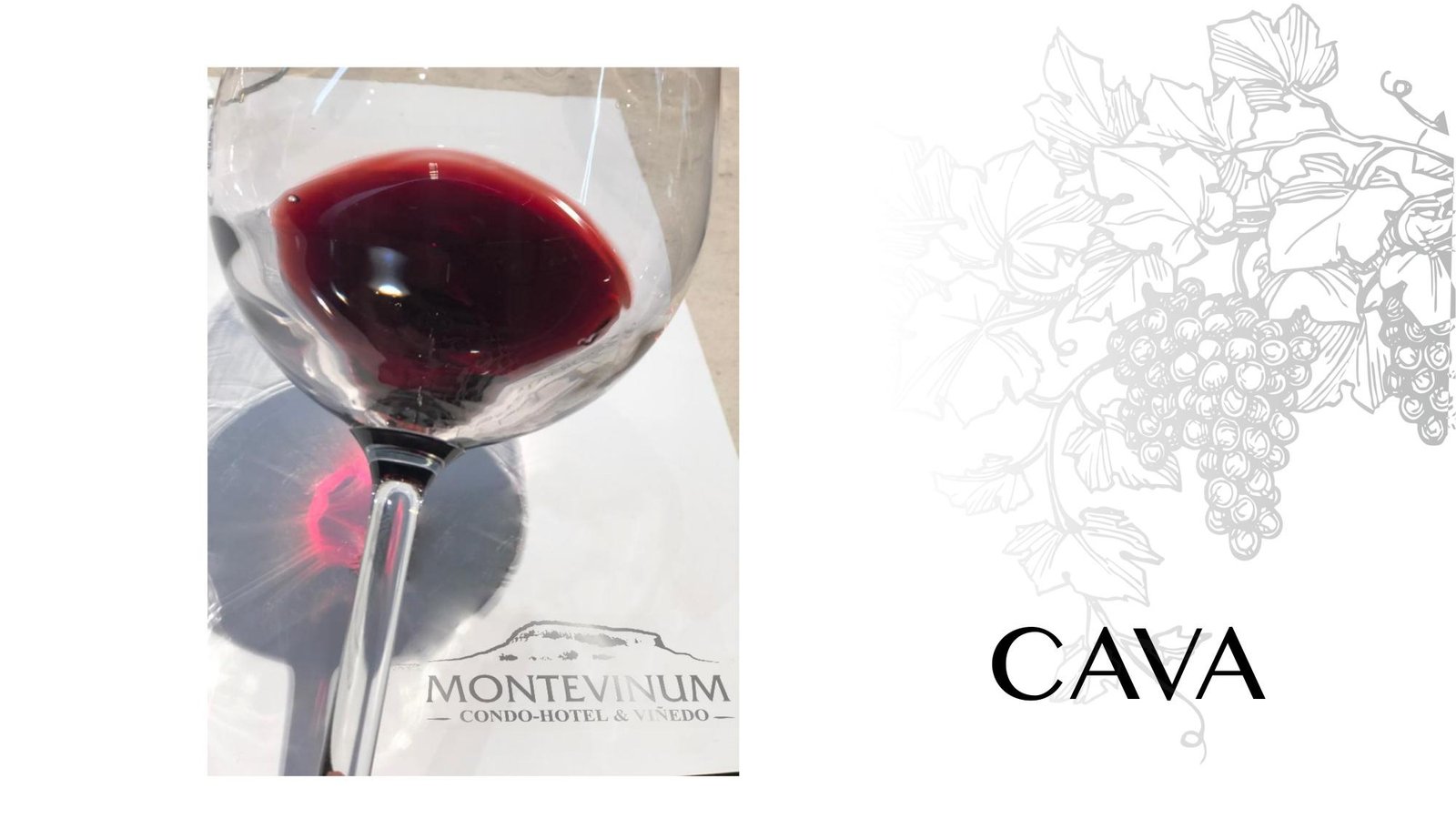Montevinum - Imagen 21